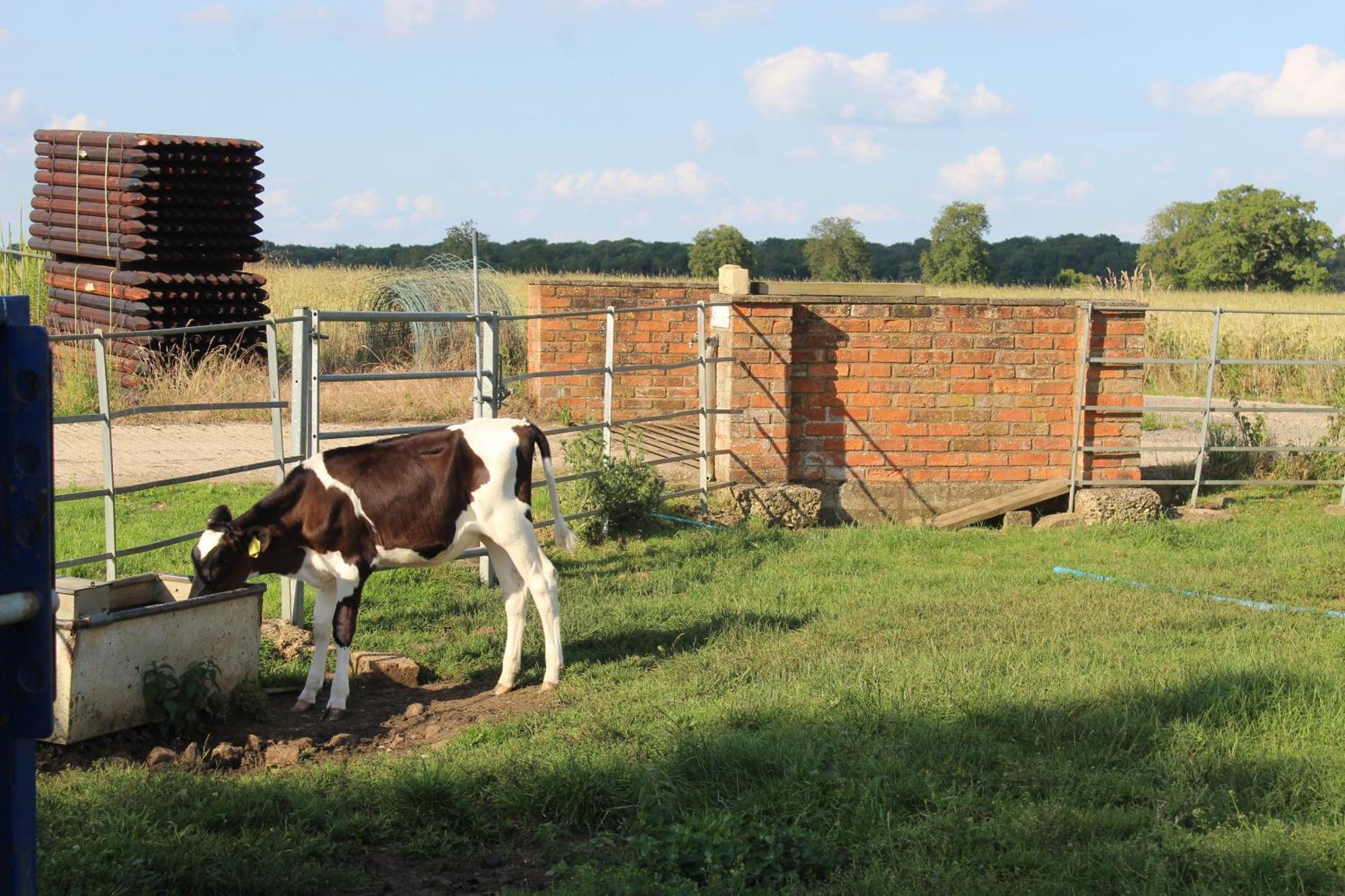 Parkfields Barns Self Catering Accommodation Buckingham Luaran gambar